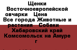 Щенки Восточноевропейской овчарки › Цена ­ 25 000 - Все города Животные и растения » Собаки   . Хабаровский край,Комсомольск-на-Амуре г.